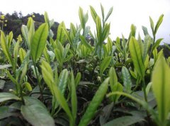 廢水檢測(cè)